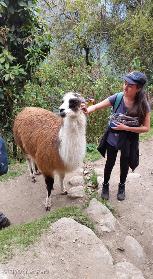 Photo Album: Machu Picchu