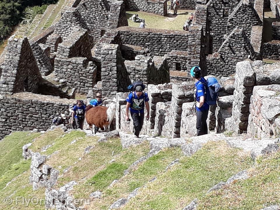 Photo Album: Machu Picchu